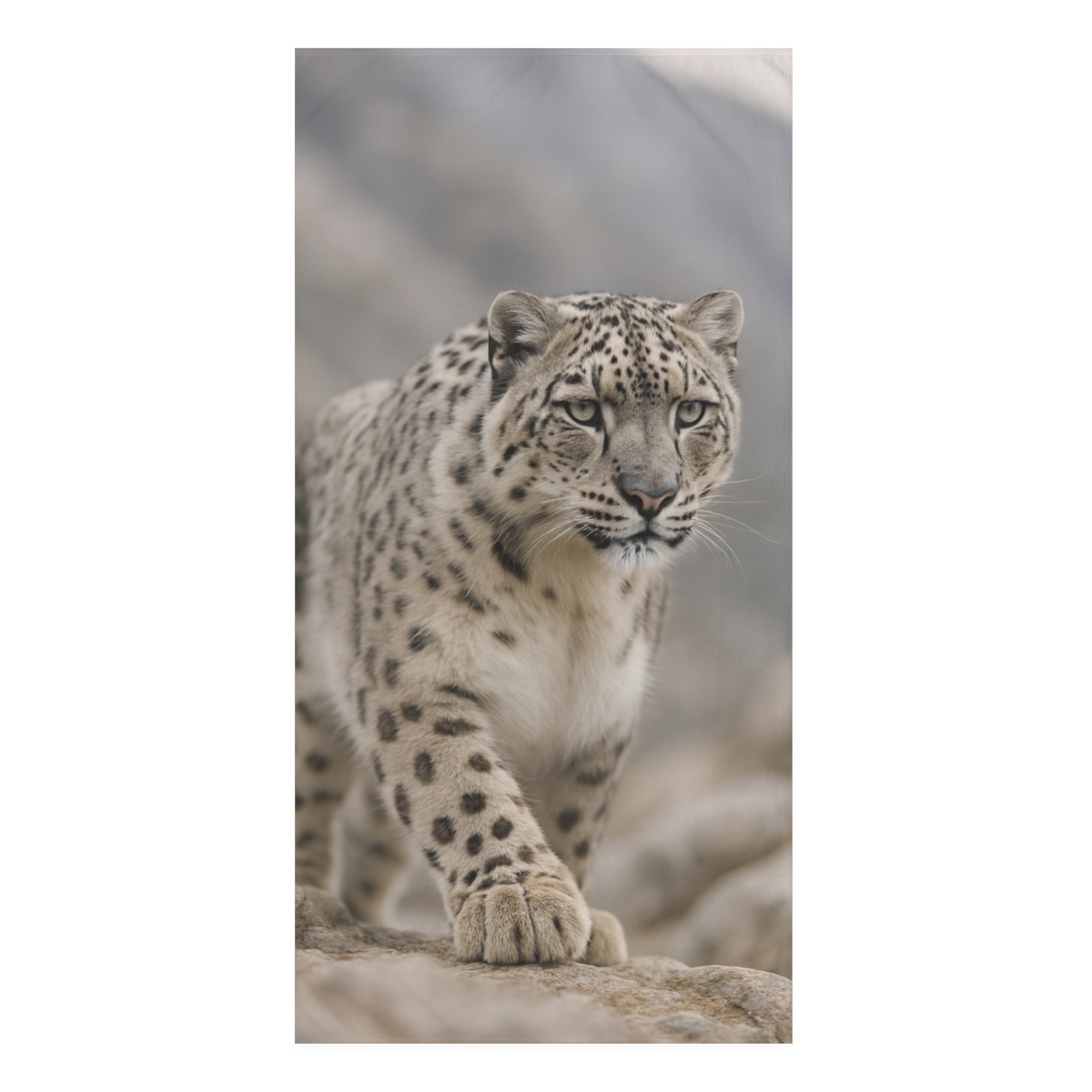 Snow Leopard Silent Ascent unique gift towels