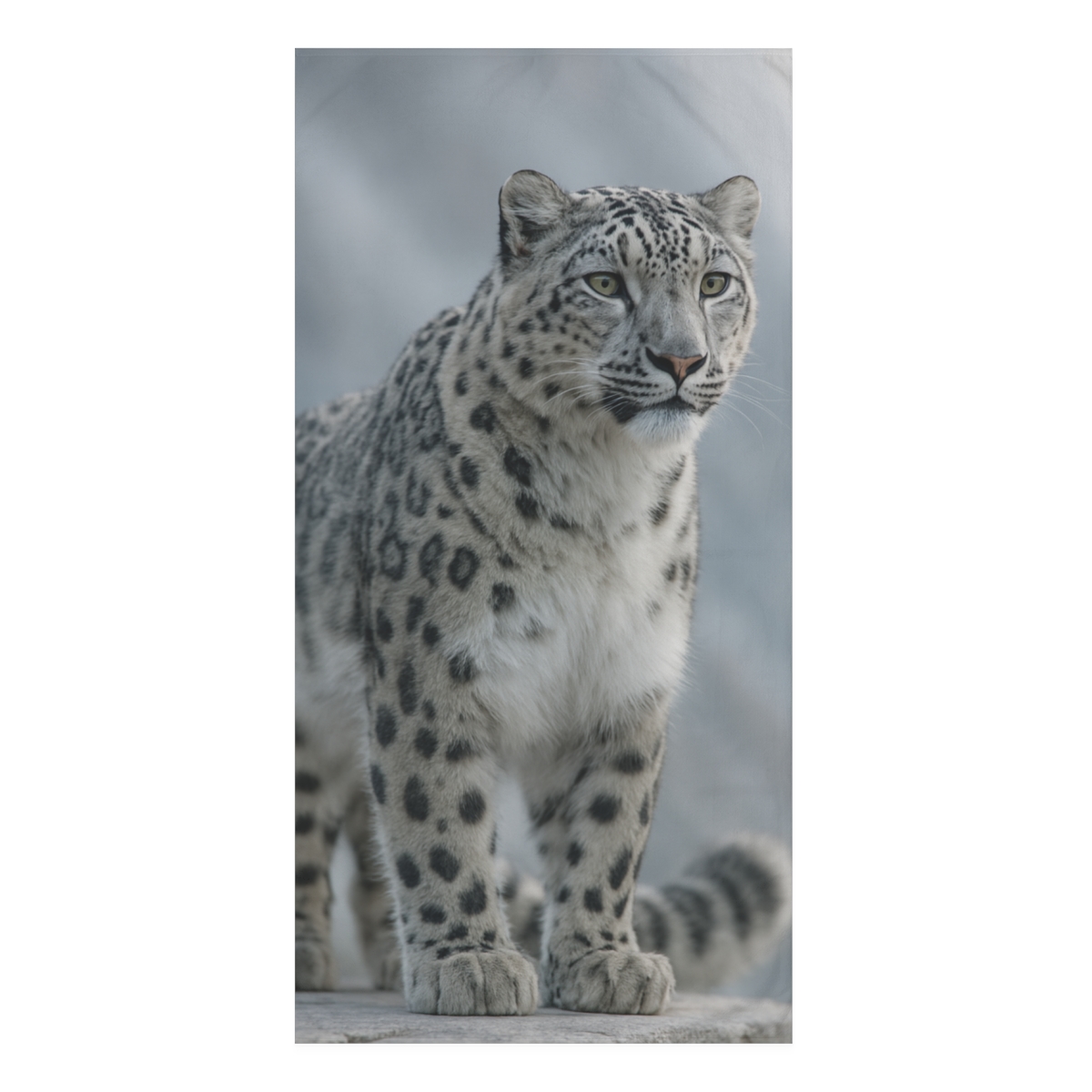 Snow Leopard Silent Peak Gaze designer printed towels