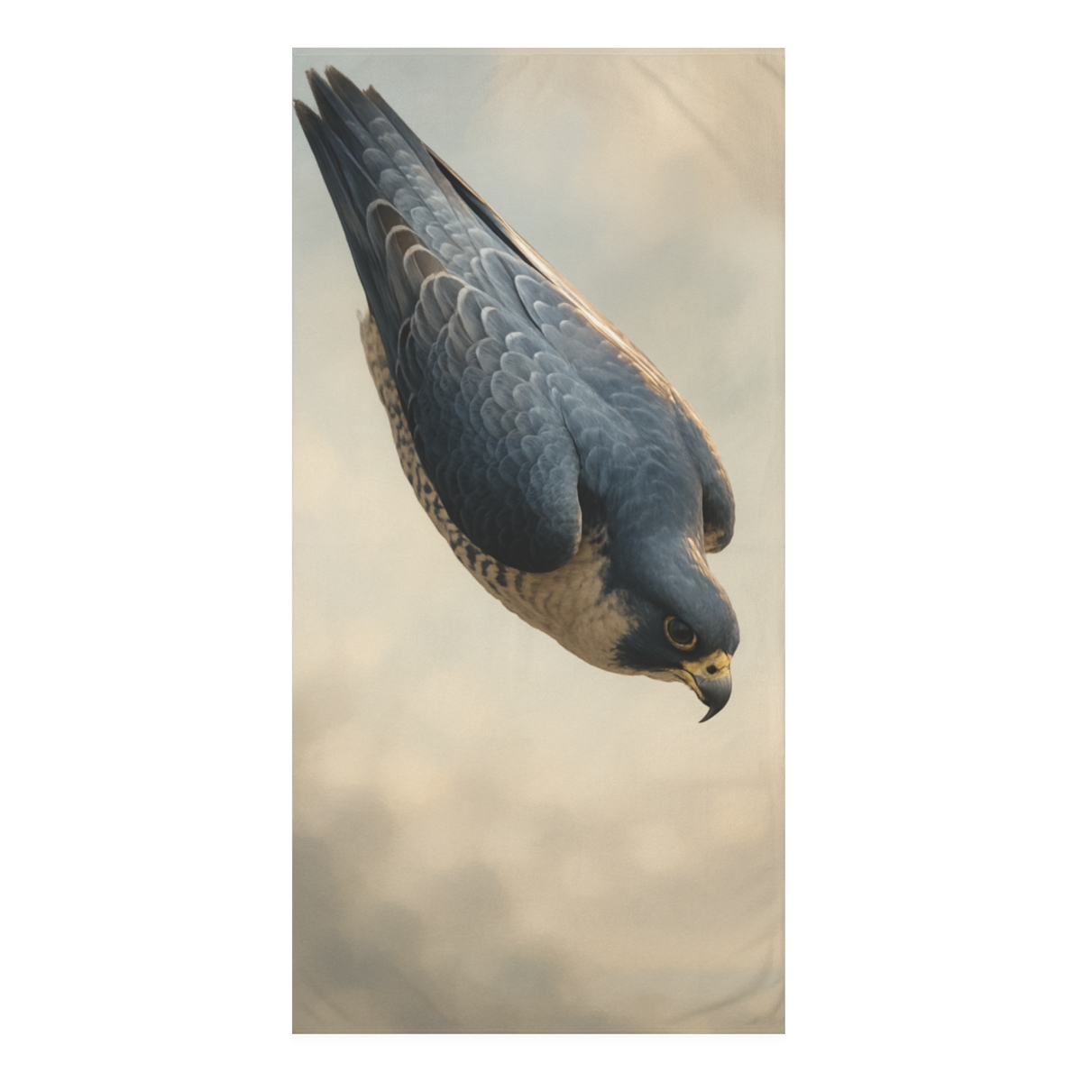Starfall Streak Peregrine Falcon trendy hand towels