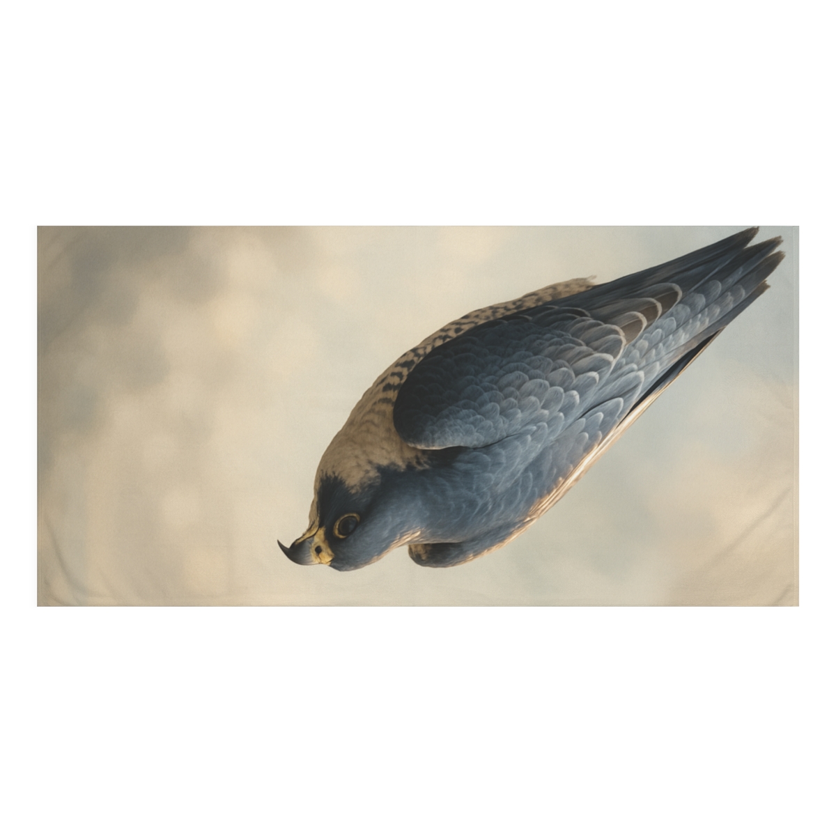 Starfall Streak Peregrine Falcon trendy hand towels