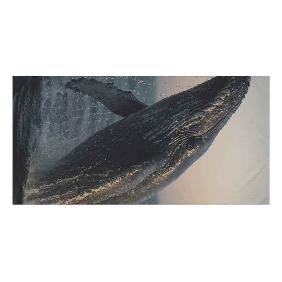 Starlit Breach Humpback Whale soft cotton towels