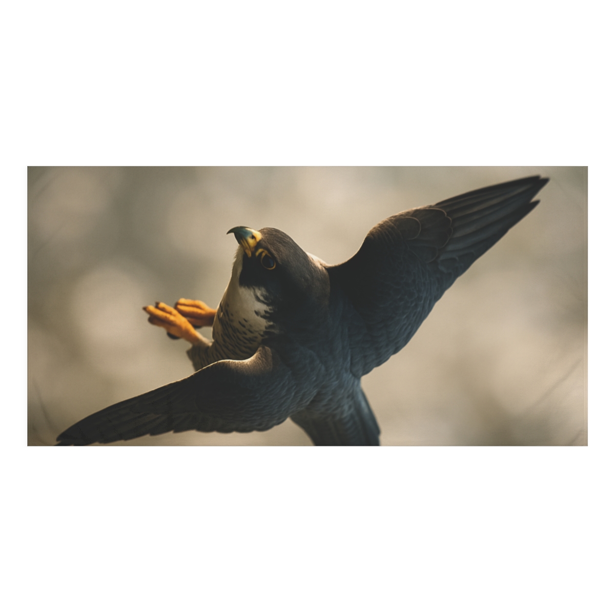 Starlit Dive Peregrine Falcon comfortable face towels