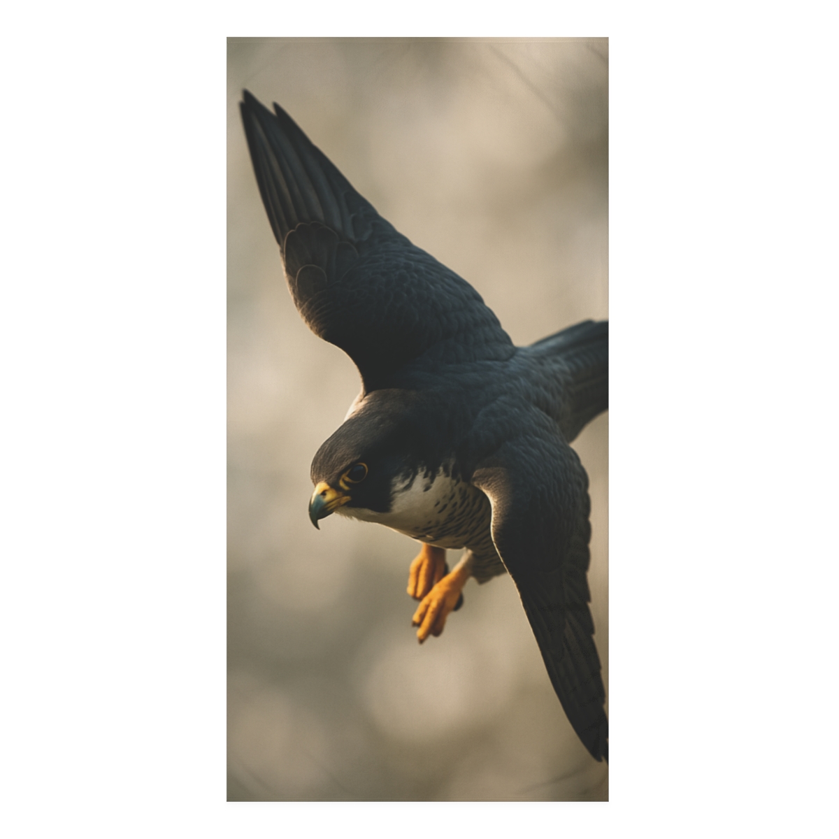 Starlit Dive Peregrine Falcon comfortable face towels