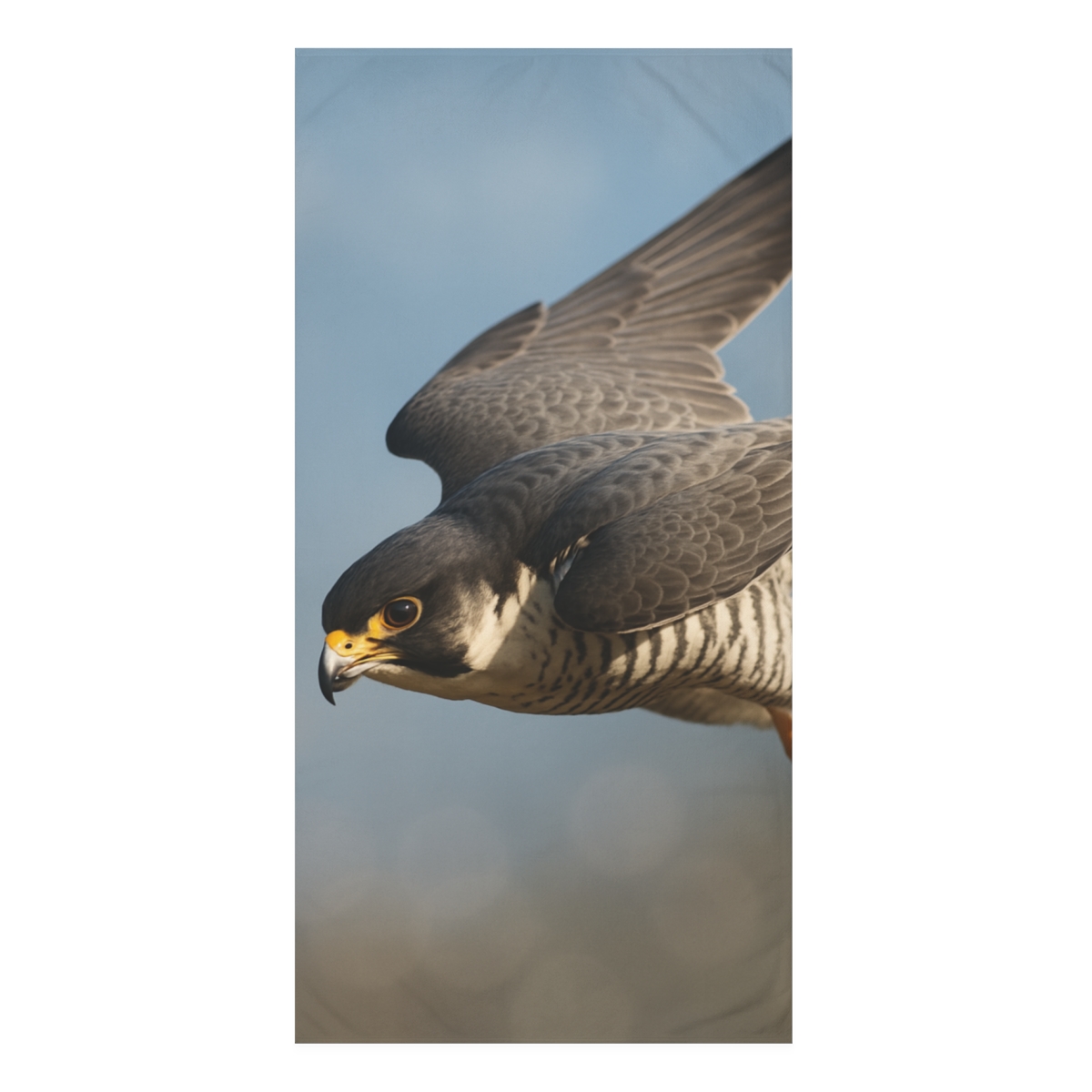 Starlit Dive Peregrine Falcon stylish beach towels