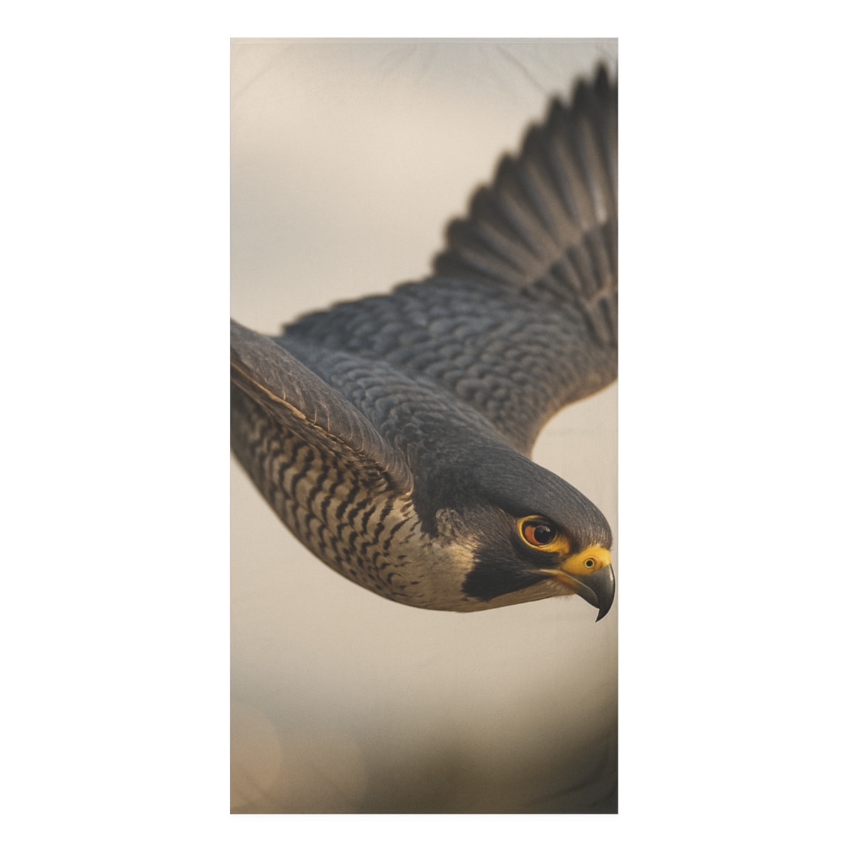 Starlit Dive Peregrine Falcon comfortable face towels