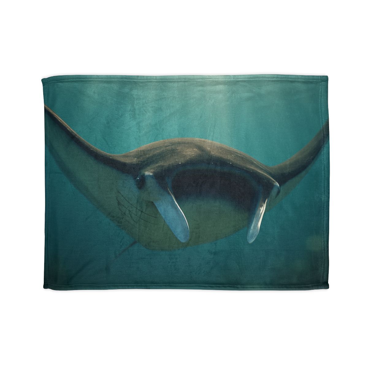 Starlit Drift Giant Manta Ray unique gift blankets