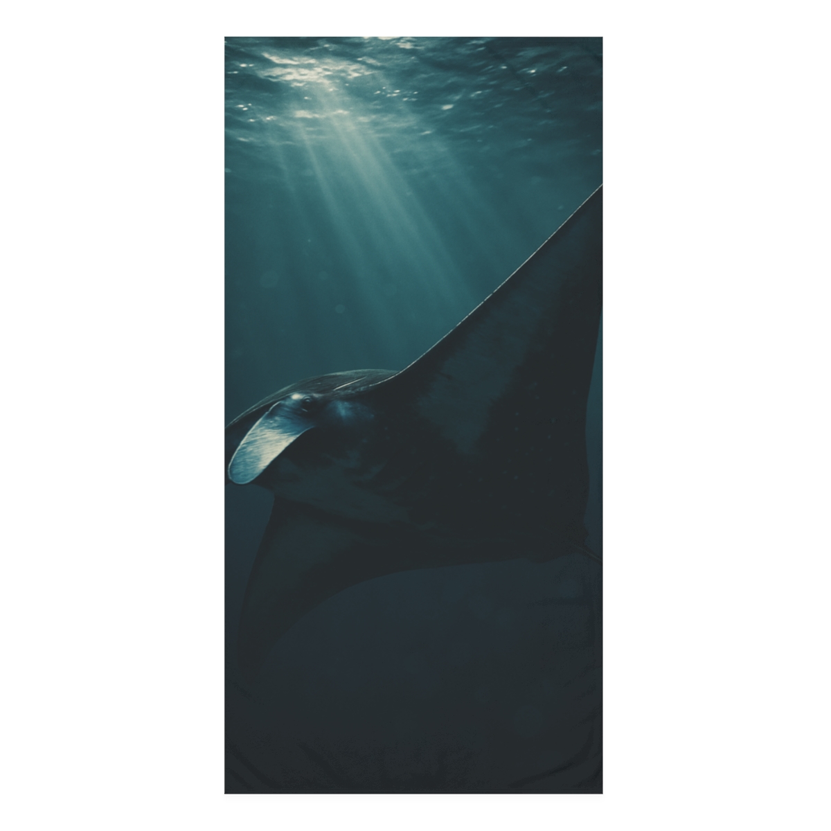 Starlit Drift Giant Manta Ray trendy hand towels