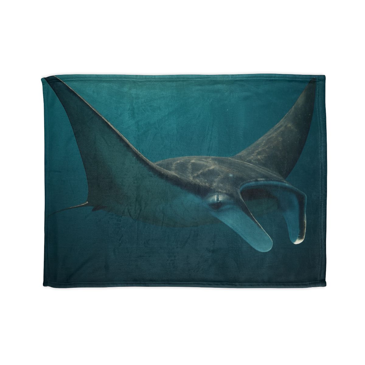 Starlit Drift Manta Ray warm winter blankets