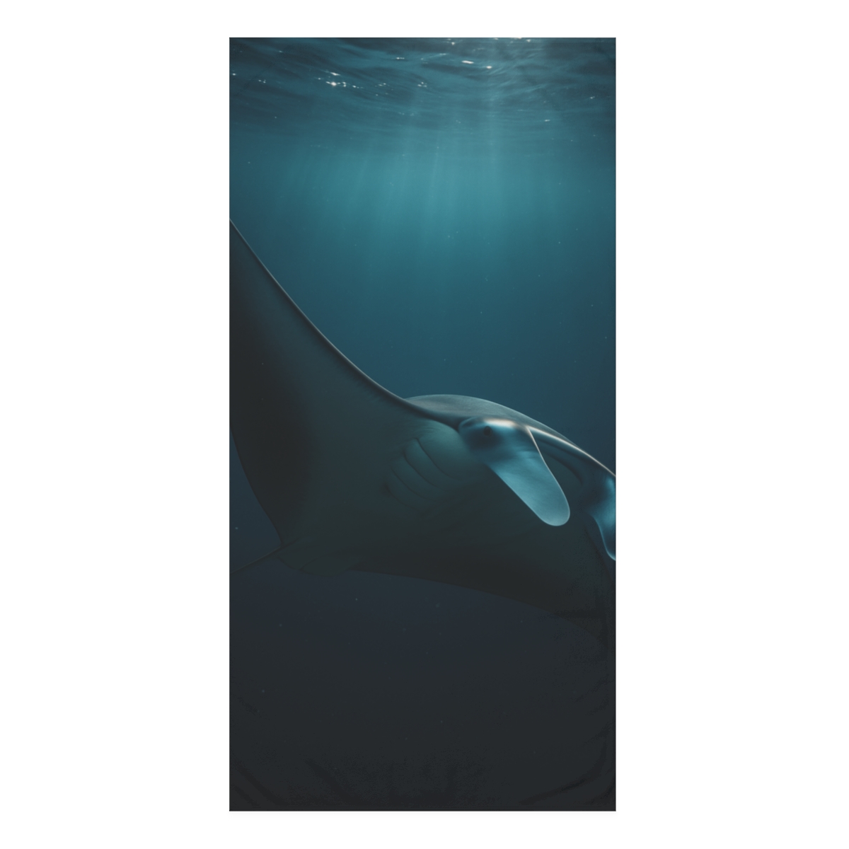 Starlit Drift Manta Ray comfortable face towels