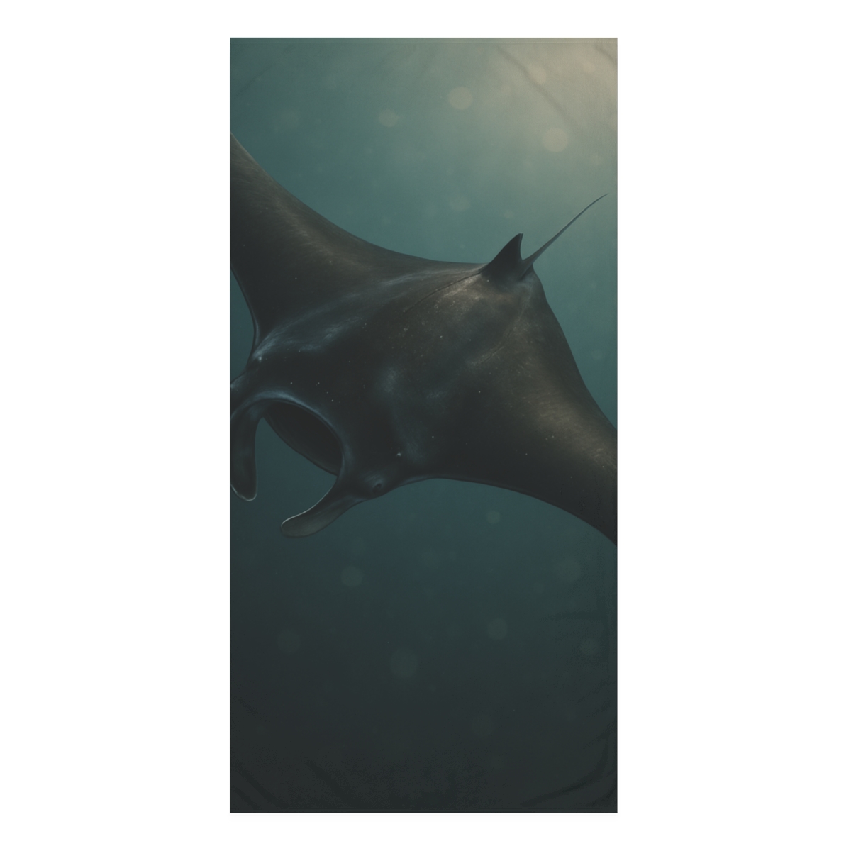 Starlit Drift Manta Ray stylish beach towels