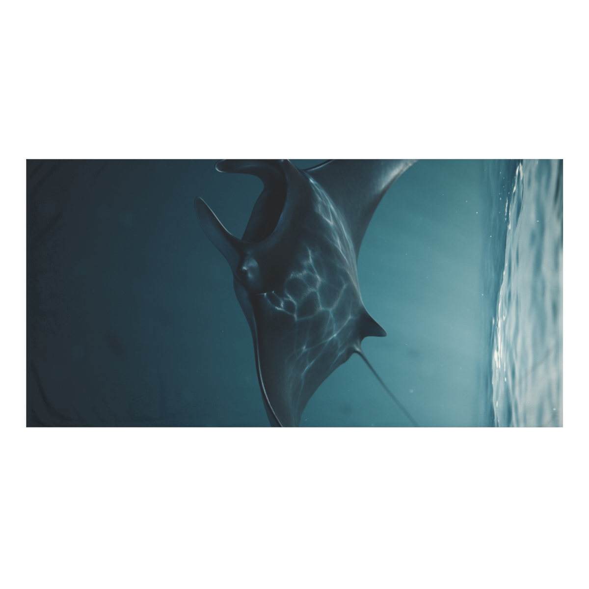 Starlit Glide Manta Ray trendy hand towels