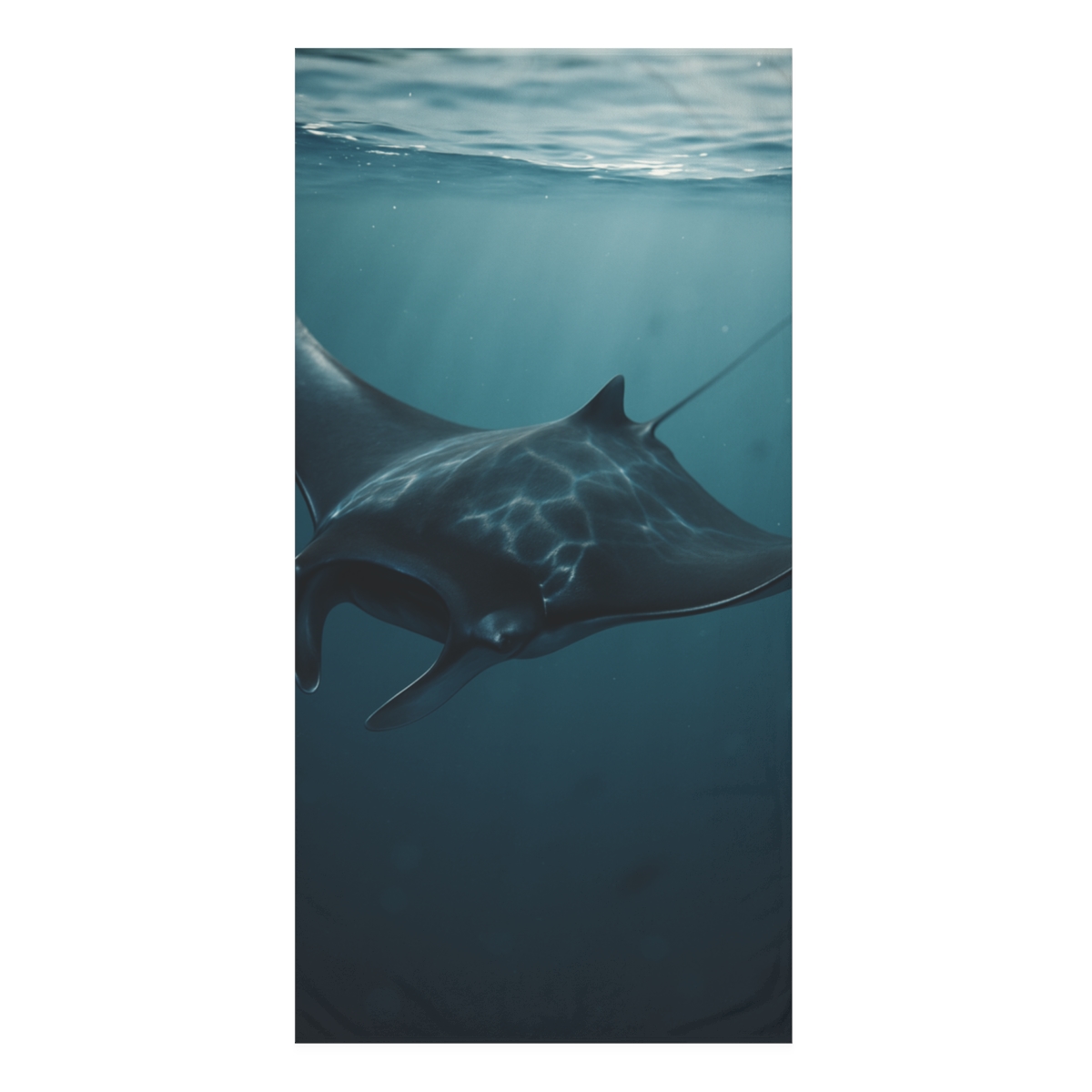 Starlit Glide Manta Ray trendy hand towels