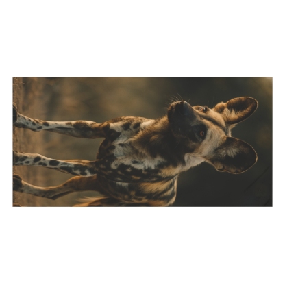 Starlit Pact African Wild Dog custom towels