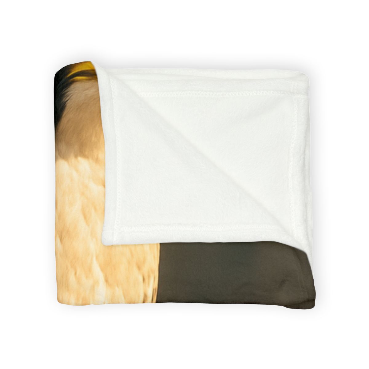 Starlit Poise Peregrine Falcon designer printed blankets