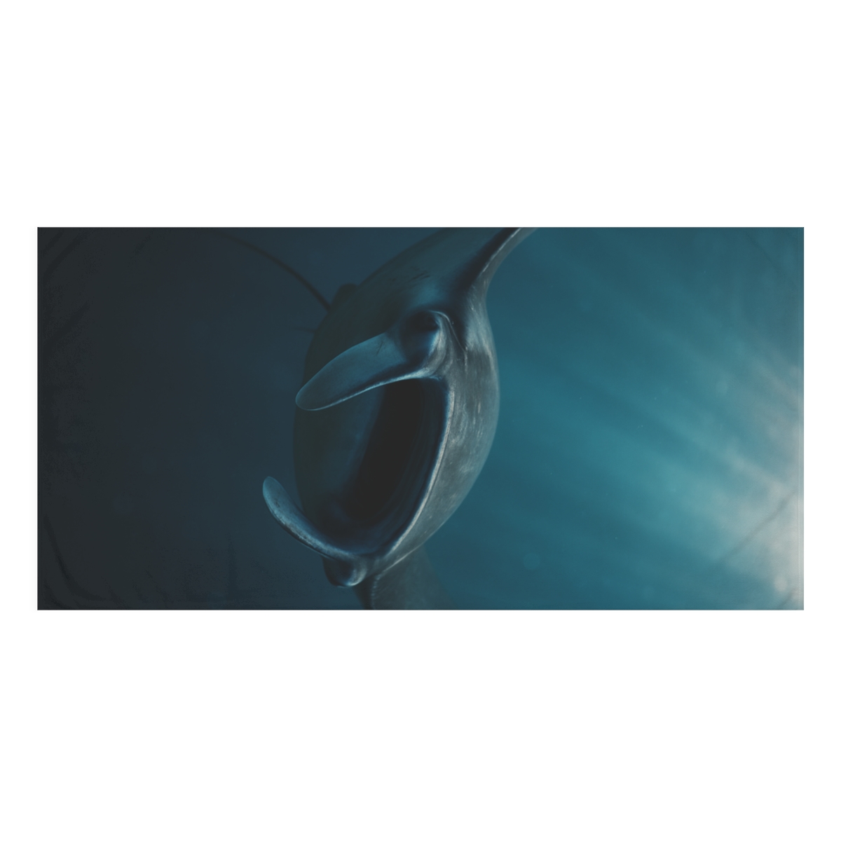 Starlit Sail Manta Ray custom towels