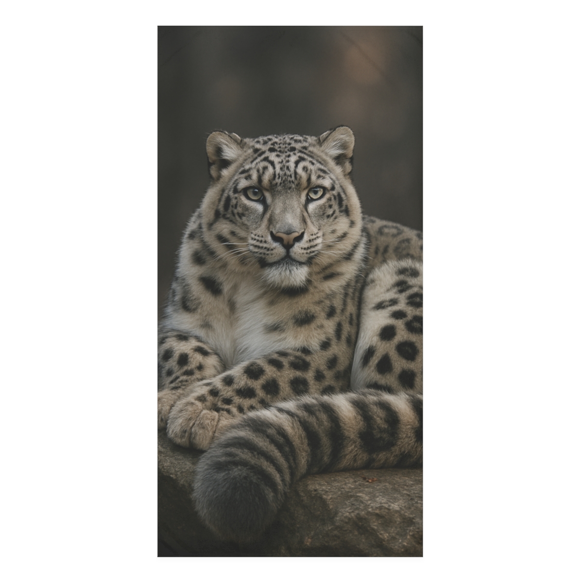 Starlit Stillness Snow Leopard unique gift towels