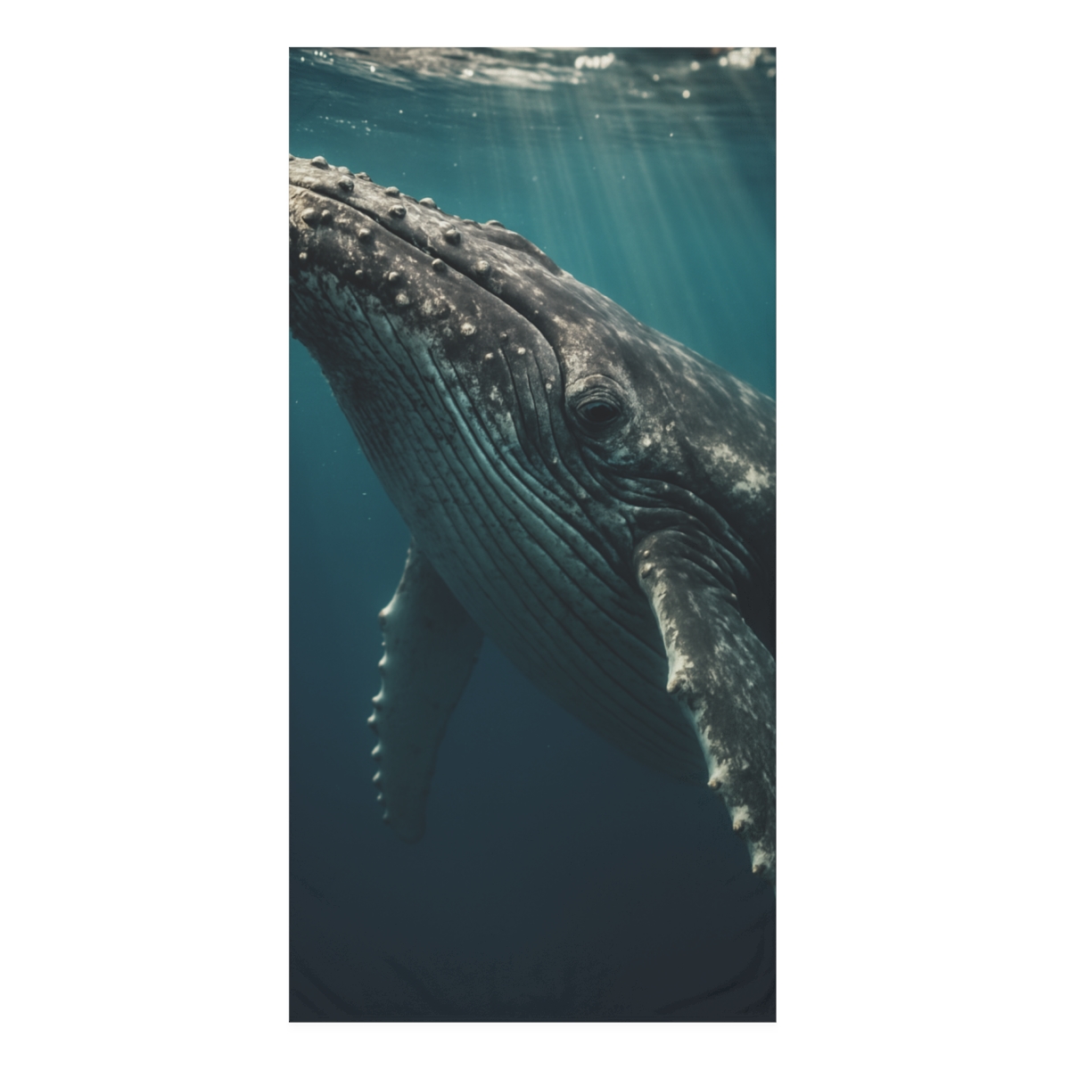 Starwave Singer Humpback Whale comfortable face towels