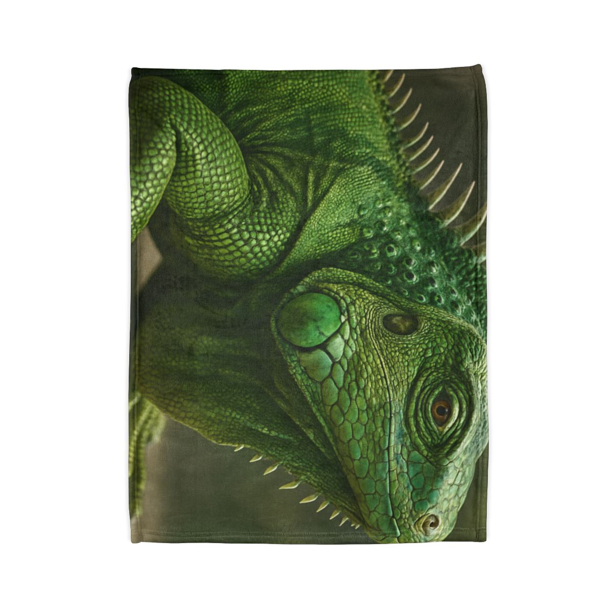 Stone Quiet Green Iguana personalized cozy blankets