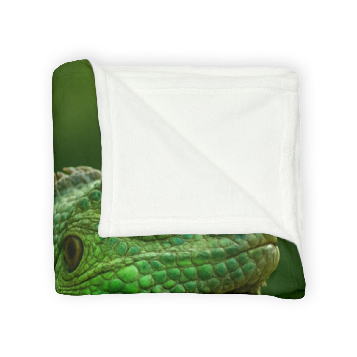 Stone Watcher Green Iguana decorative home blankets