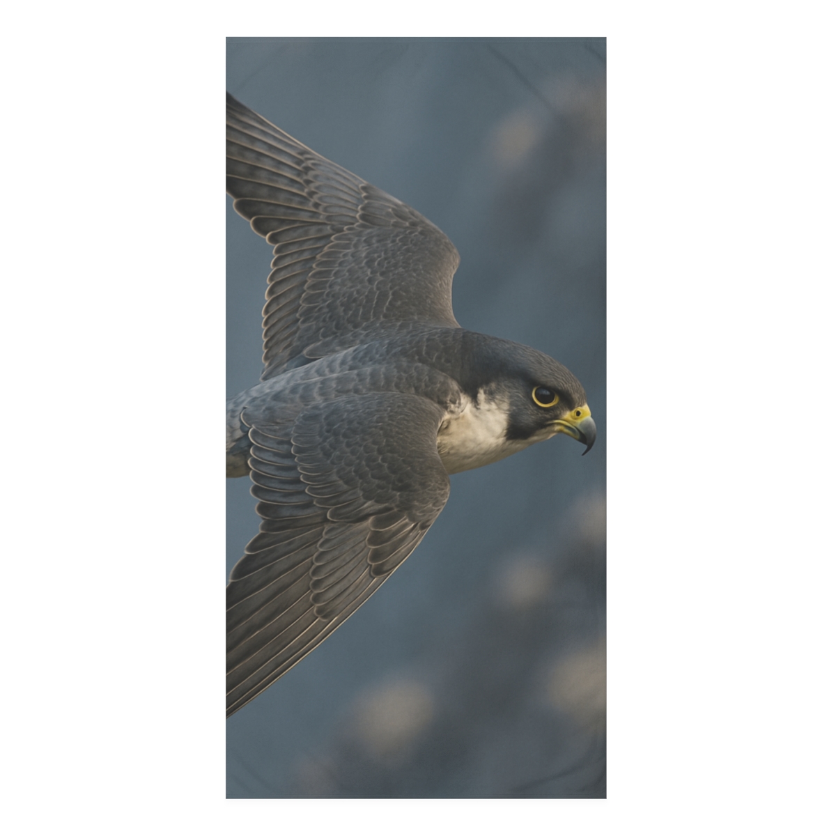 Storm Edge Peregrine Falcon designer printed towels
