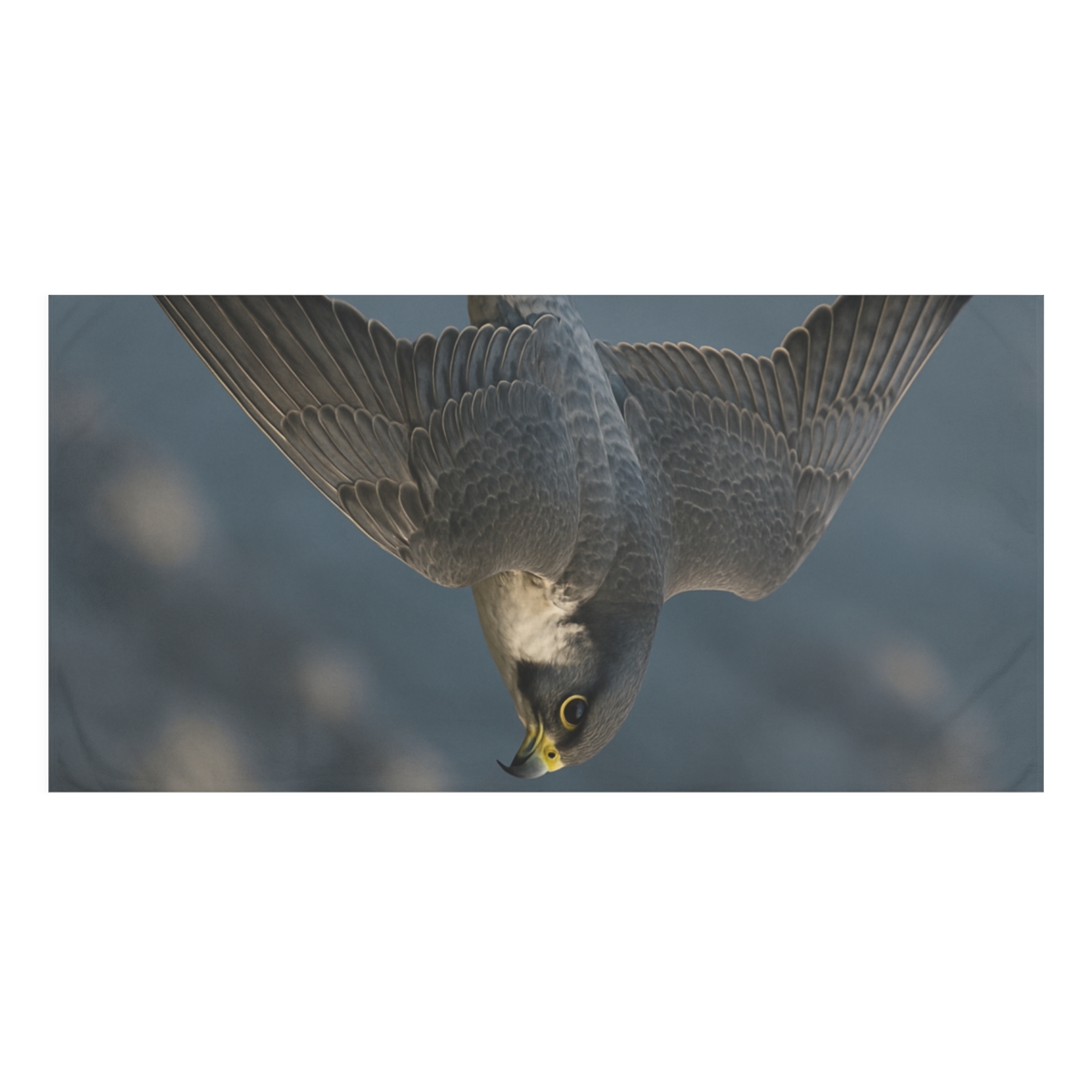 Storm Edge Peregrine Falcon designer printed towels