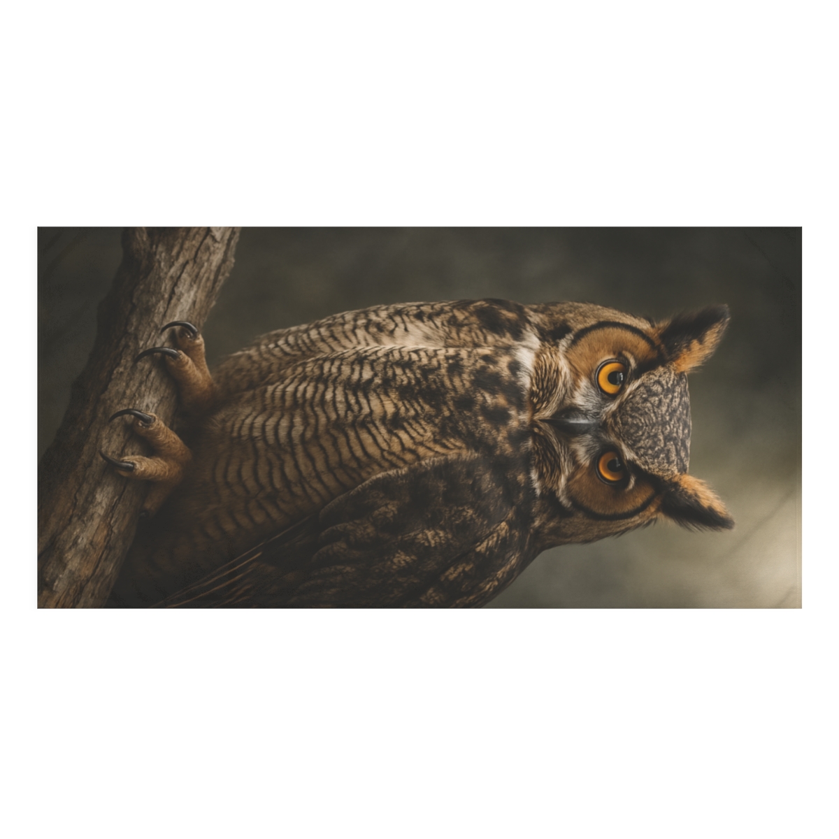 Storm Halo Great Horned Owl soft cotton towels