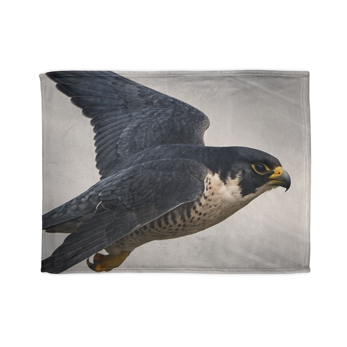 Stormglide Peregrine Falcon unique gift blanketscustom blankets
