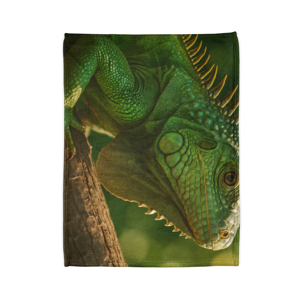 Sun Dappled Green Iguana stylish throw blankets