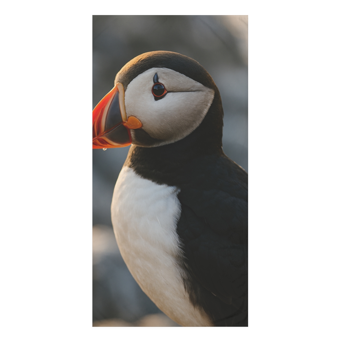 Sunlit Perch Atlantic Puffin custom towels