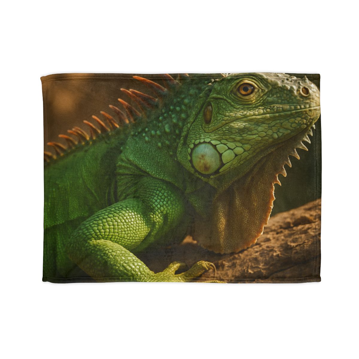Sunlit Perch Green Iguana warm winter blankets