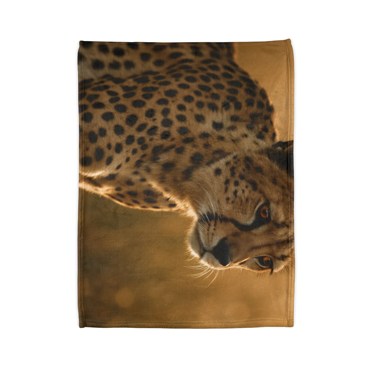 Sunlit Stare Cheetah warm winter blankets