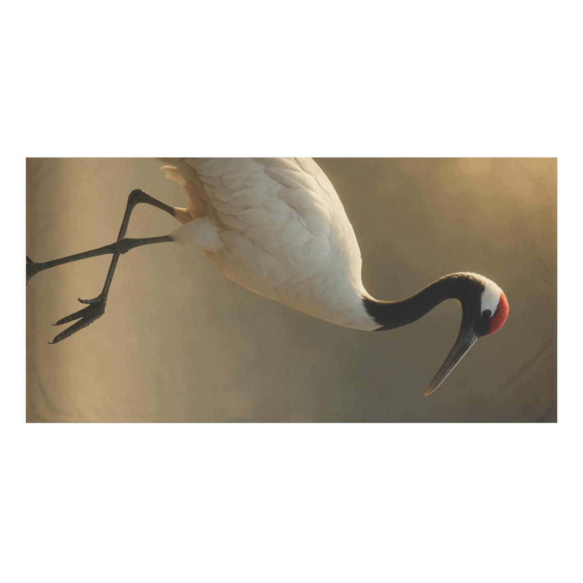 Sunlit Stillness Red Crowned Crane comfortable face towels