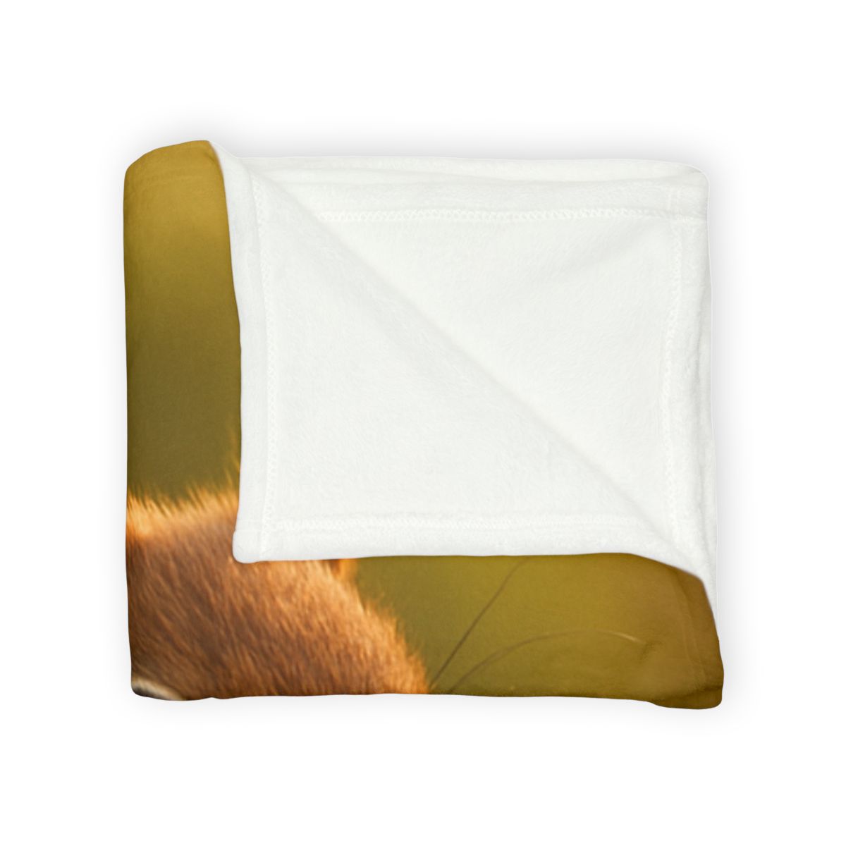 Sunrise Forager Red Squirrel decorative home blankets