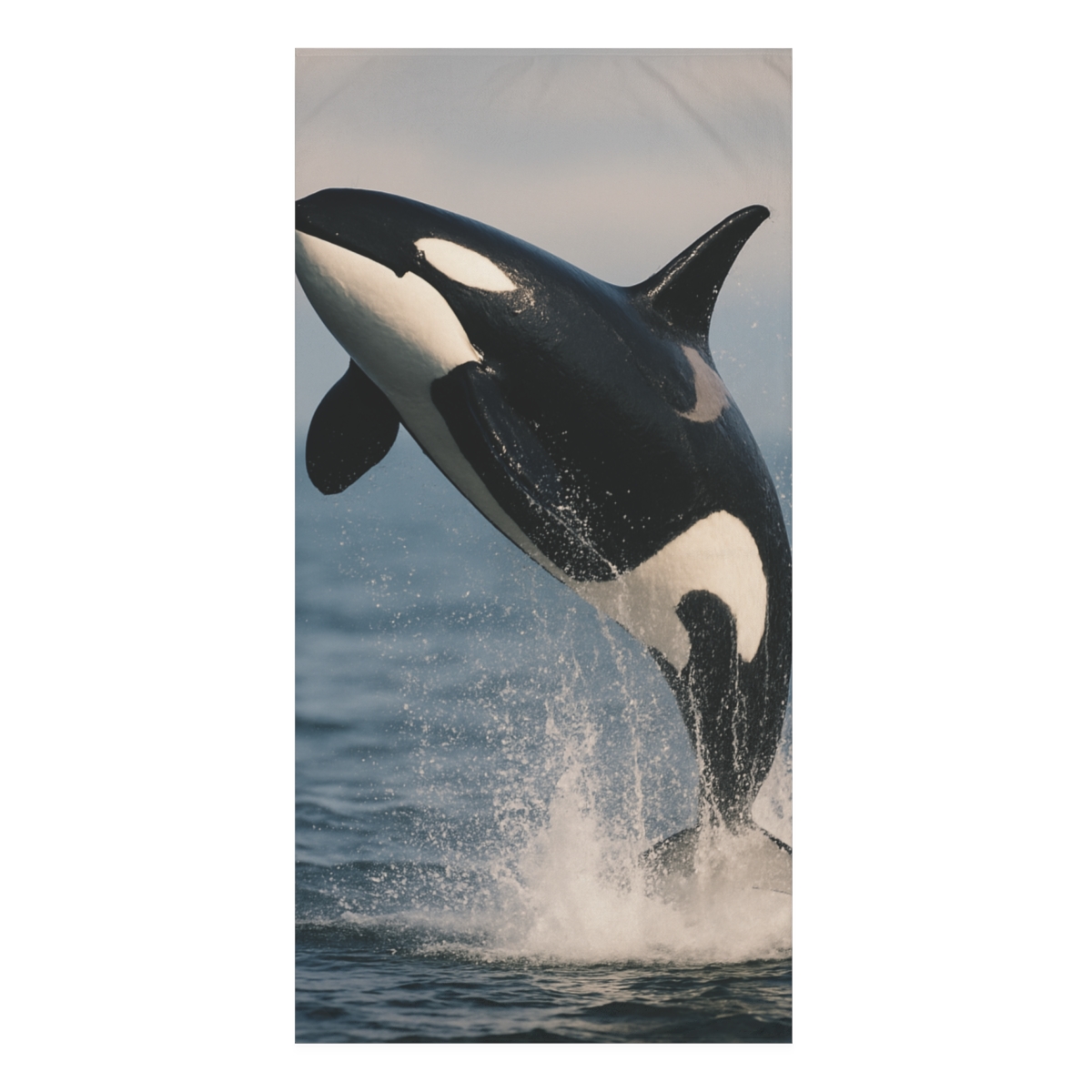 Surf Monarch Orca stylish beach towels