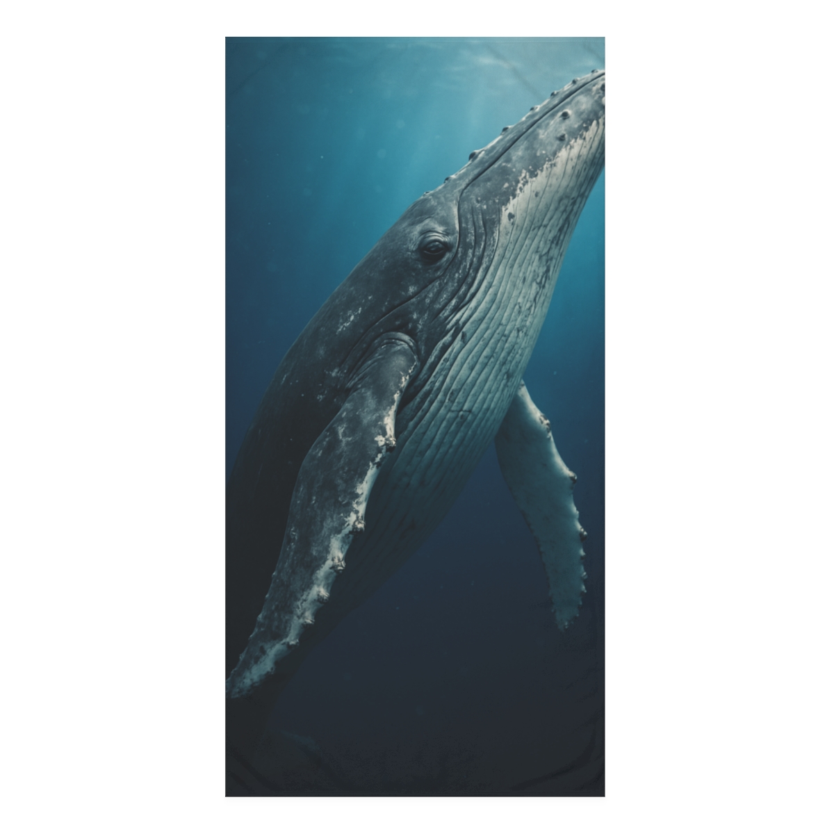 Tidal Choir Humpback Whale soft cotton towels