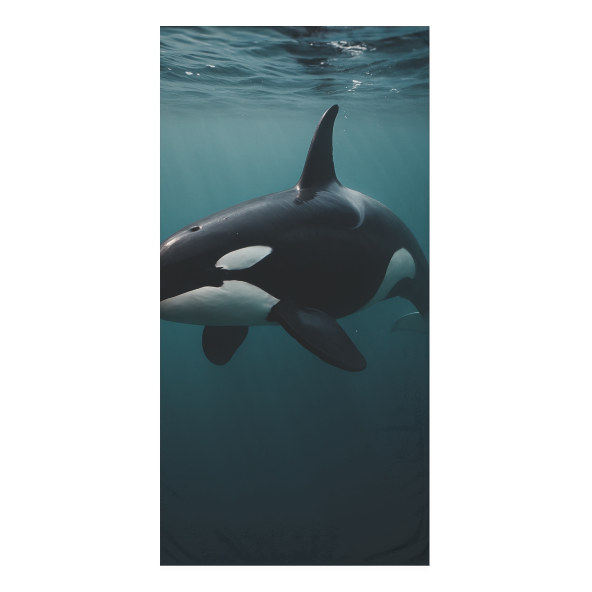 Tidal Phantom Orca decorative home towels