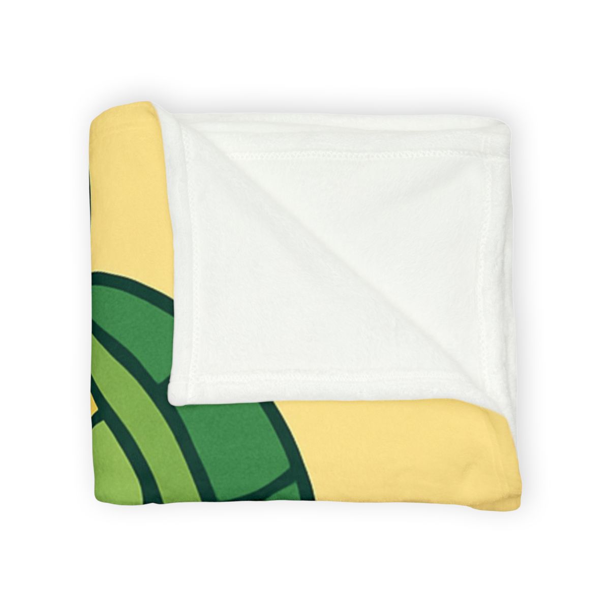 Time-Traveling Turtle School decorative home blankets