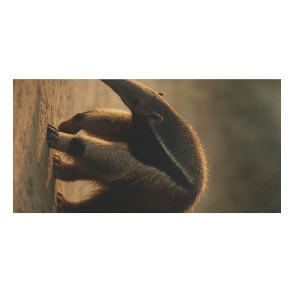 Twilight Brush Giant Anteater decorative home towels