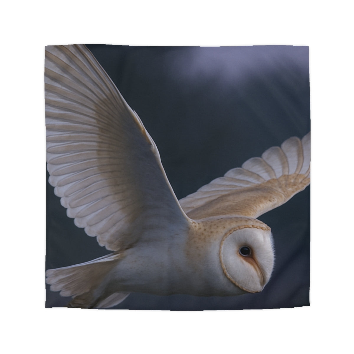 Twilight Glider Barn Owl Duvet