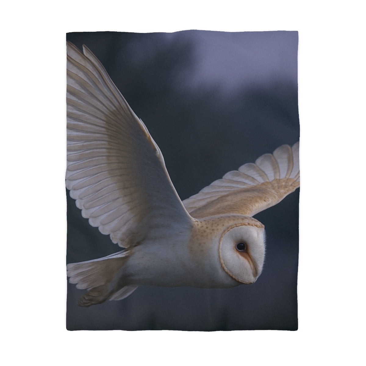 Twilight Glider Barn Owl Duvet