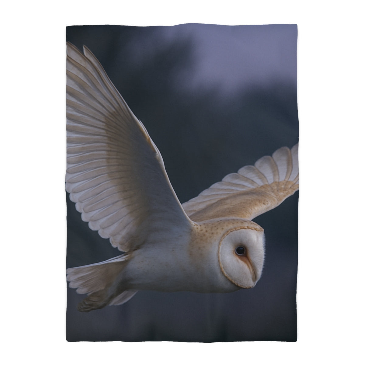 Twilight Glider Barn Owl Duvet