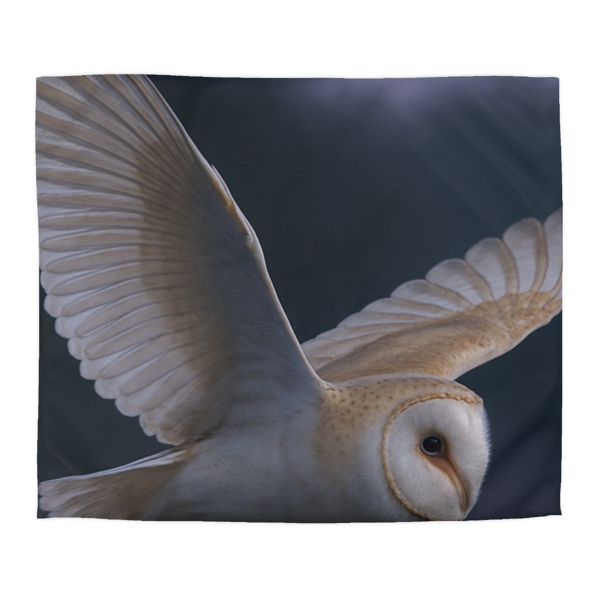 Twilight Glider Barn Owl Duvet