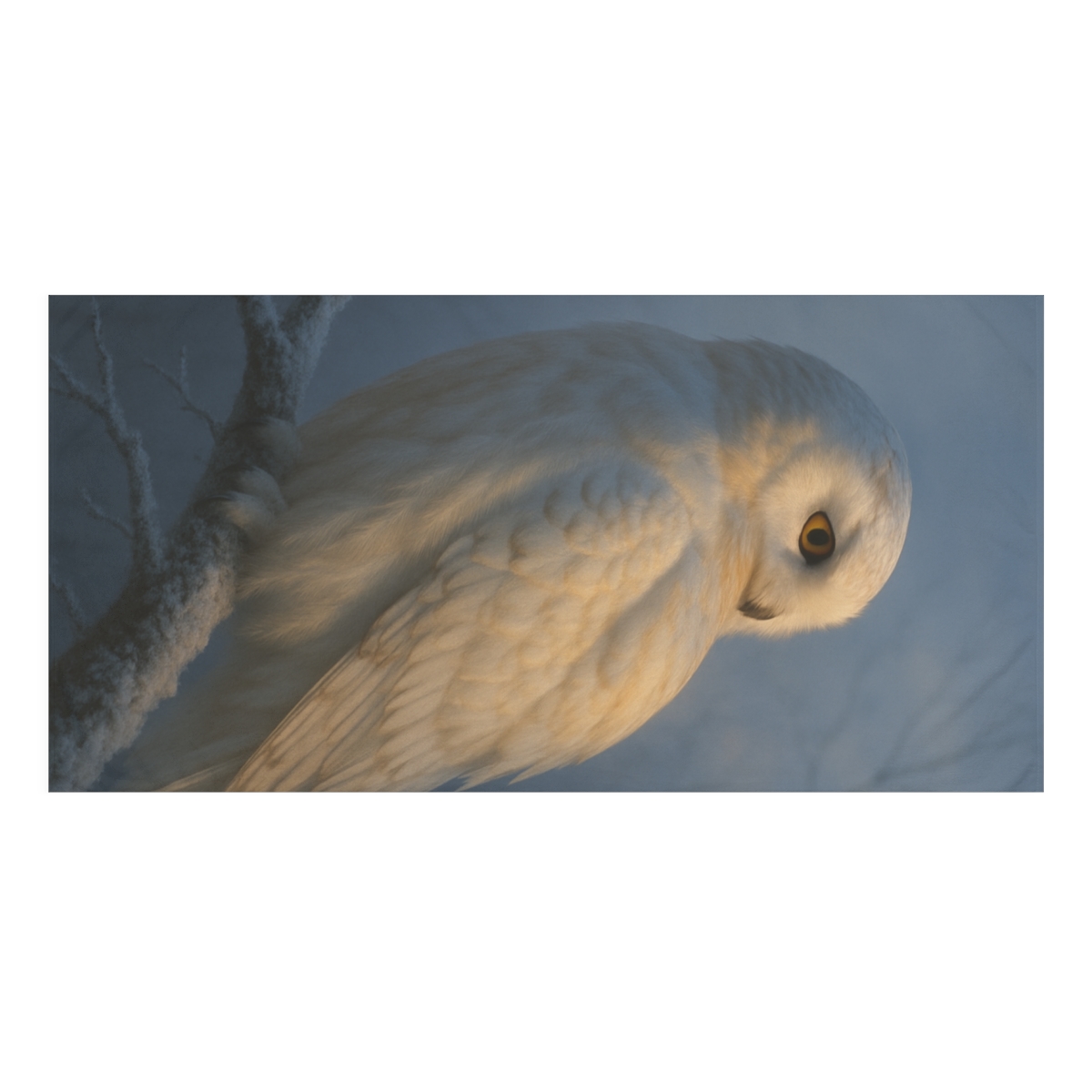 Twilight Sentinel Snowy Owl soft cotton towels