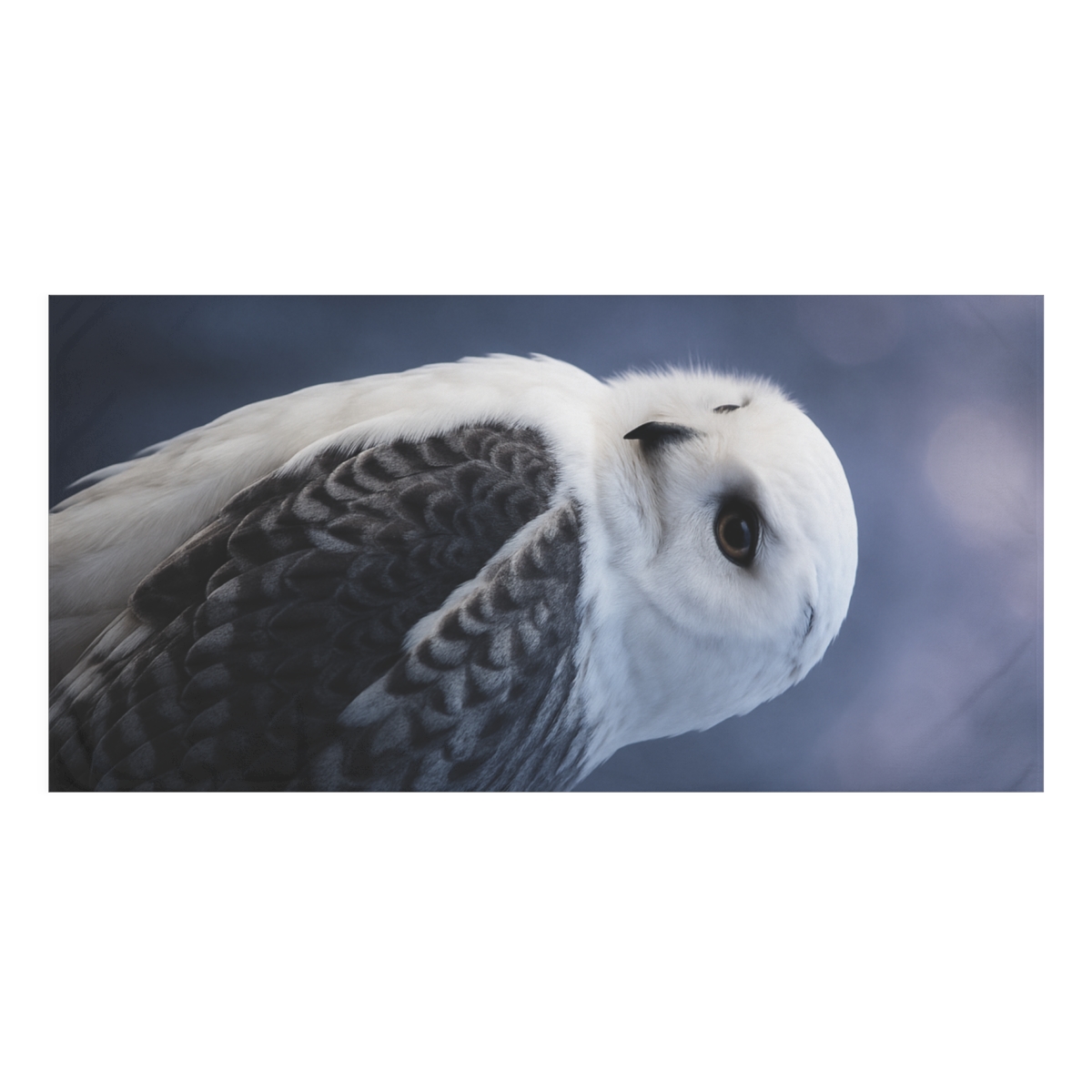 Twilight Watcher Snowy Owl trendy hand towels