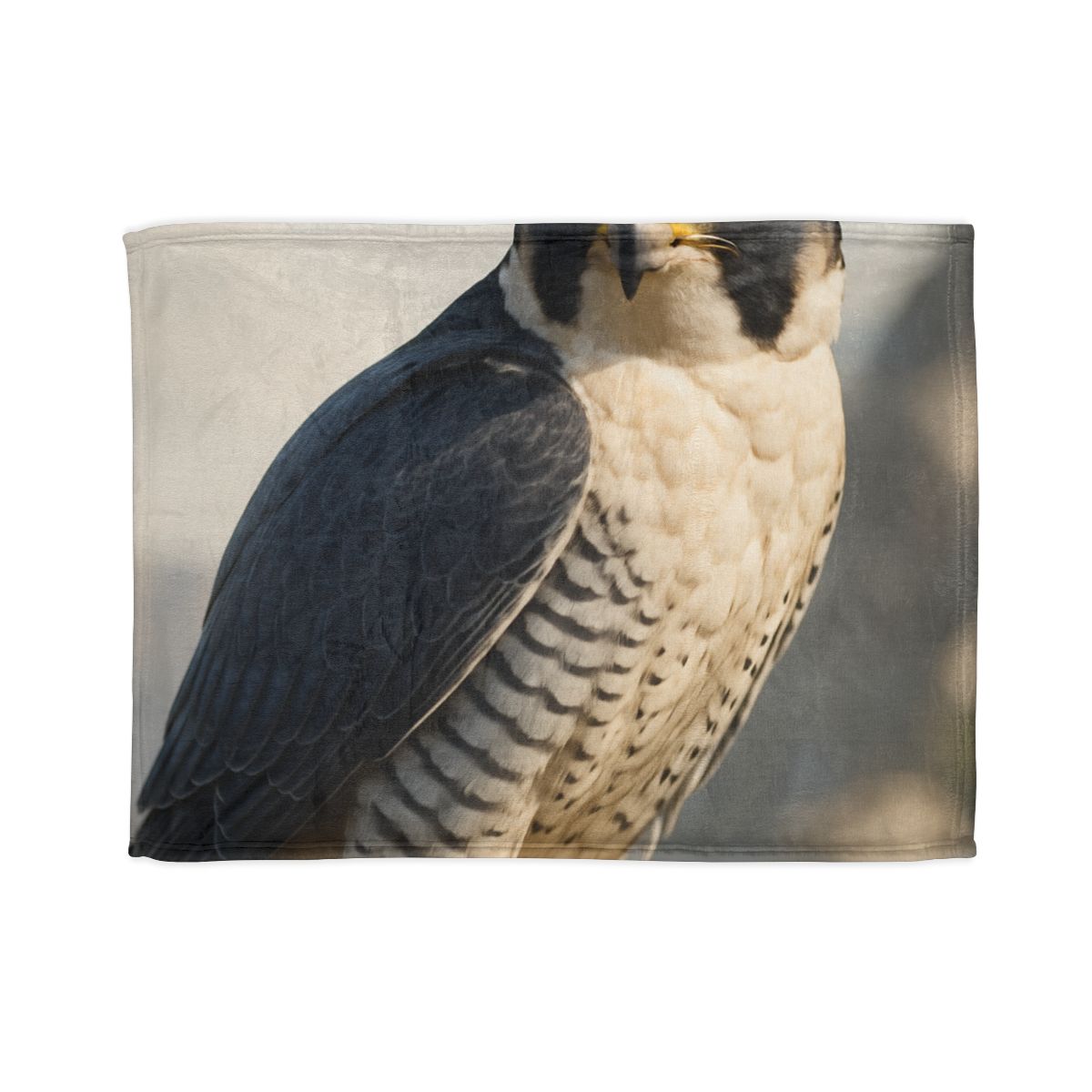 Velocity Gaze Peregrine Falcon decorative home blankets