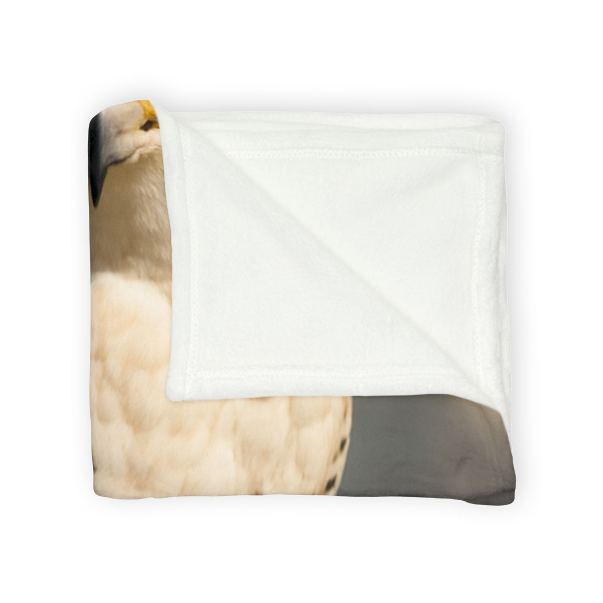 Velocity Gaze Peregrine Falcon decorative home blankets
