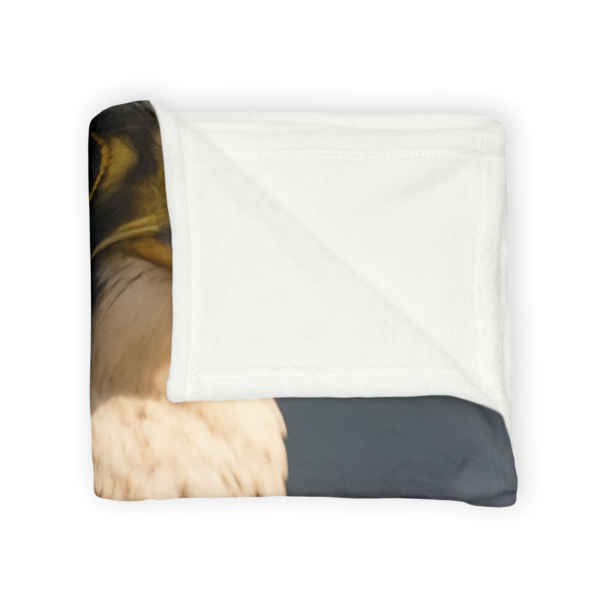 Velocity Vow Peregrine Falcon decorative home blankets