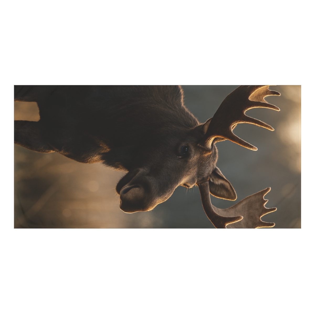 Velvet Antler Dawn Moose trendy hand towels