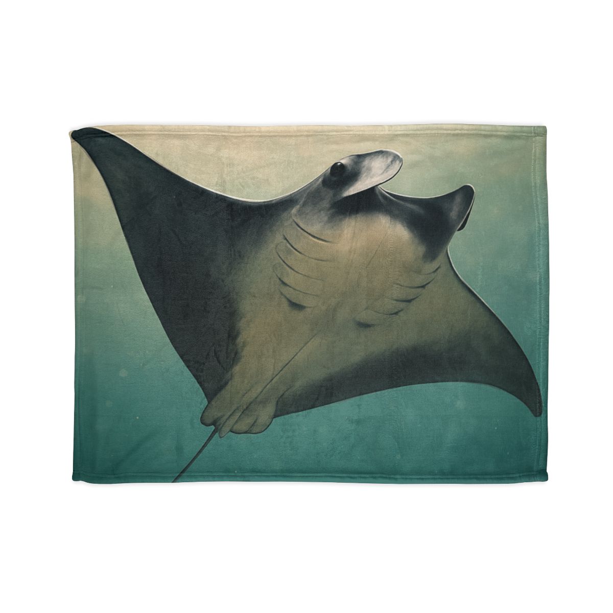 Velvet Current Manta Ray stylish throw blankets