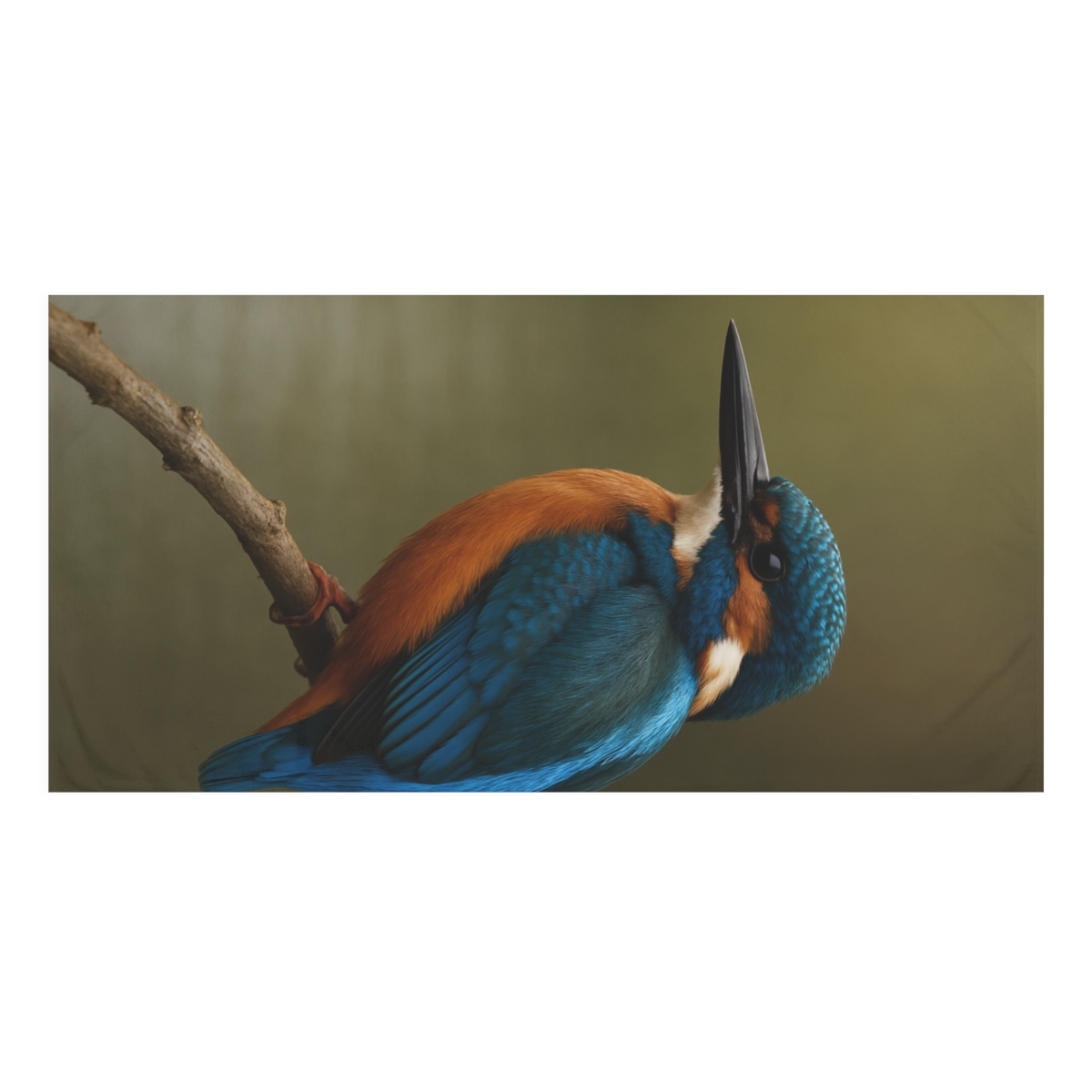 Whispered Glide Kingfisher decorative home towelscustom towels